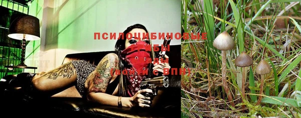 трава Абаза
